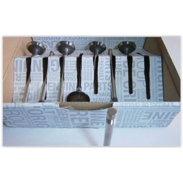 RENAULT-MAIS-ORJINAL 7701476596 SUBAP EMME TAKIM .M9R LAGUNA III TRAFIC KADJAR OASHOAI