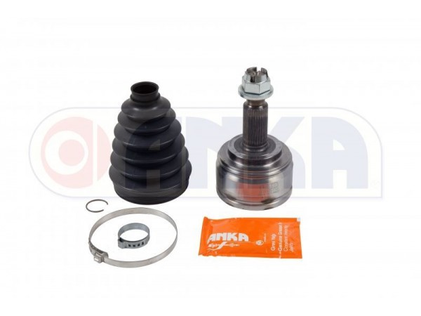 ANKA 20100023 AKS KAFASI MASTER III 09-