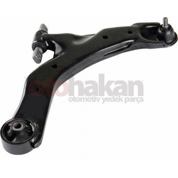 AYD 10294 SALINCAK SAG CERATO 04-
