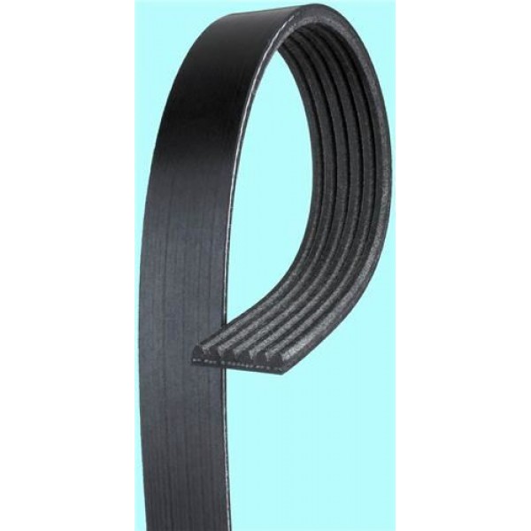 BANDO 6PK1925 KANALLI KAYIS FORD 1.6 16V GO6PK1925 68439