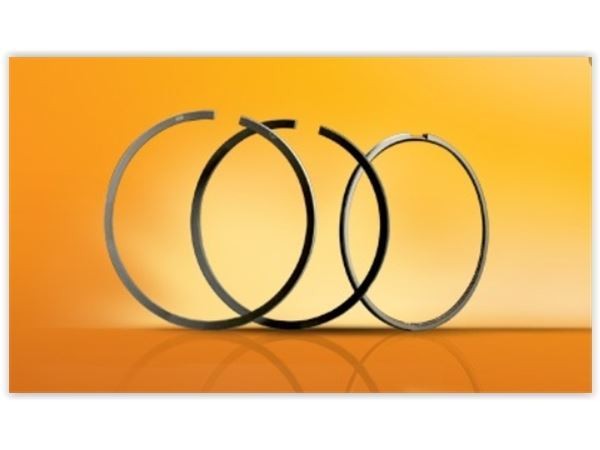 GOETZE ISS 6-253307-0 SEGMAN 0.50 MAZDA YM ADET