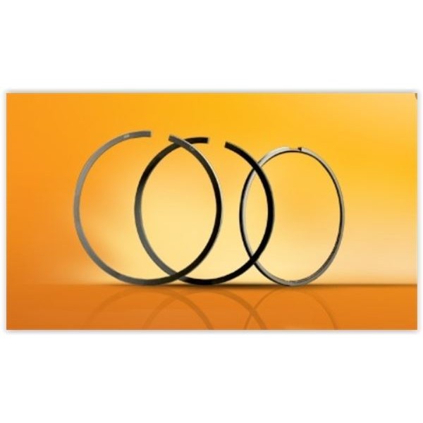 GOETZE ISS 6-849207-50 SEGMAN 0.50 ACCENT ERA 06-