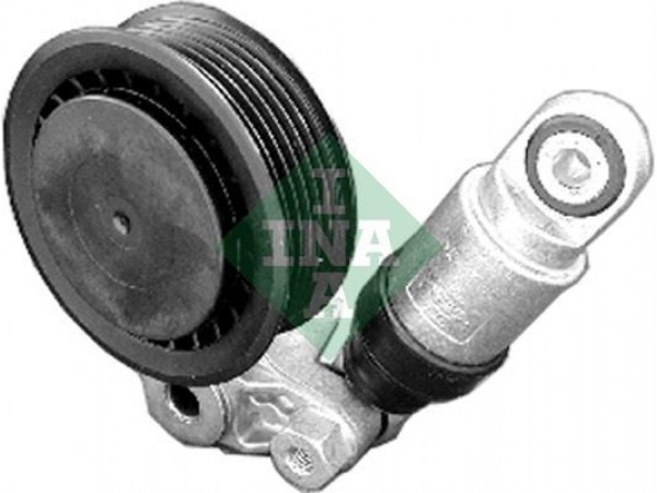 INA 534001110 ALTERNATÖR V KAYIS GERGI RULMANI KÜTÜKLÜ TRANSPORTER T4 2.5 TDI 98-