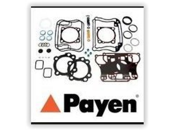 PAYEN DW722 MOTOR TAKIM CONTA ÜST 156 1.6 16V