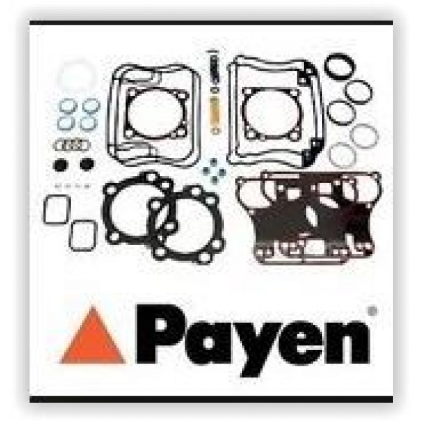 PAYEN DW722 MOTOR TAKIM CONTA ÜST 156 1.6 16V